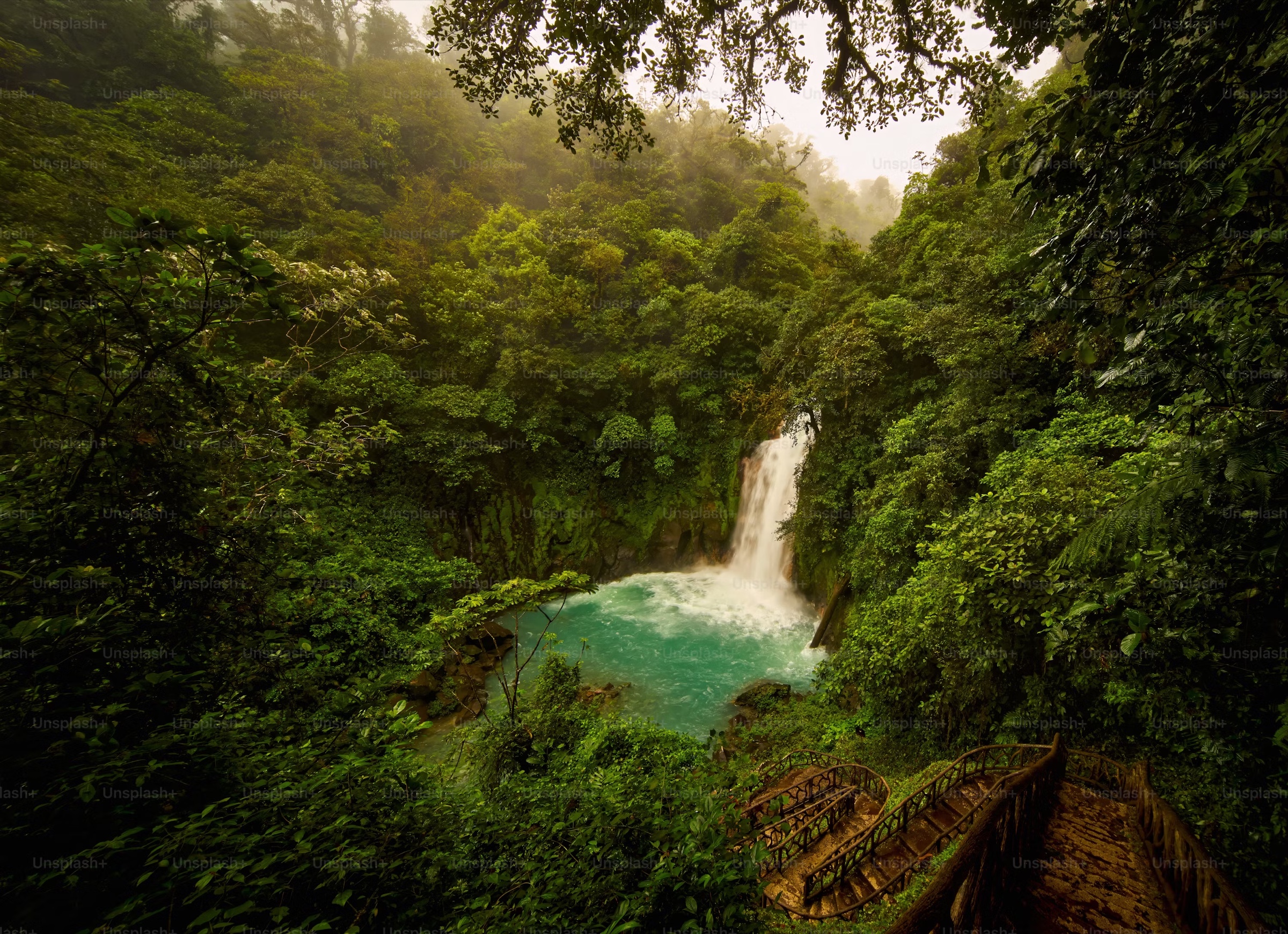 Cascata na floresta tropical